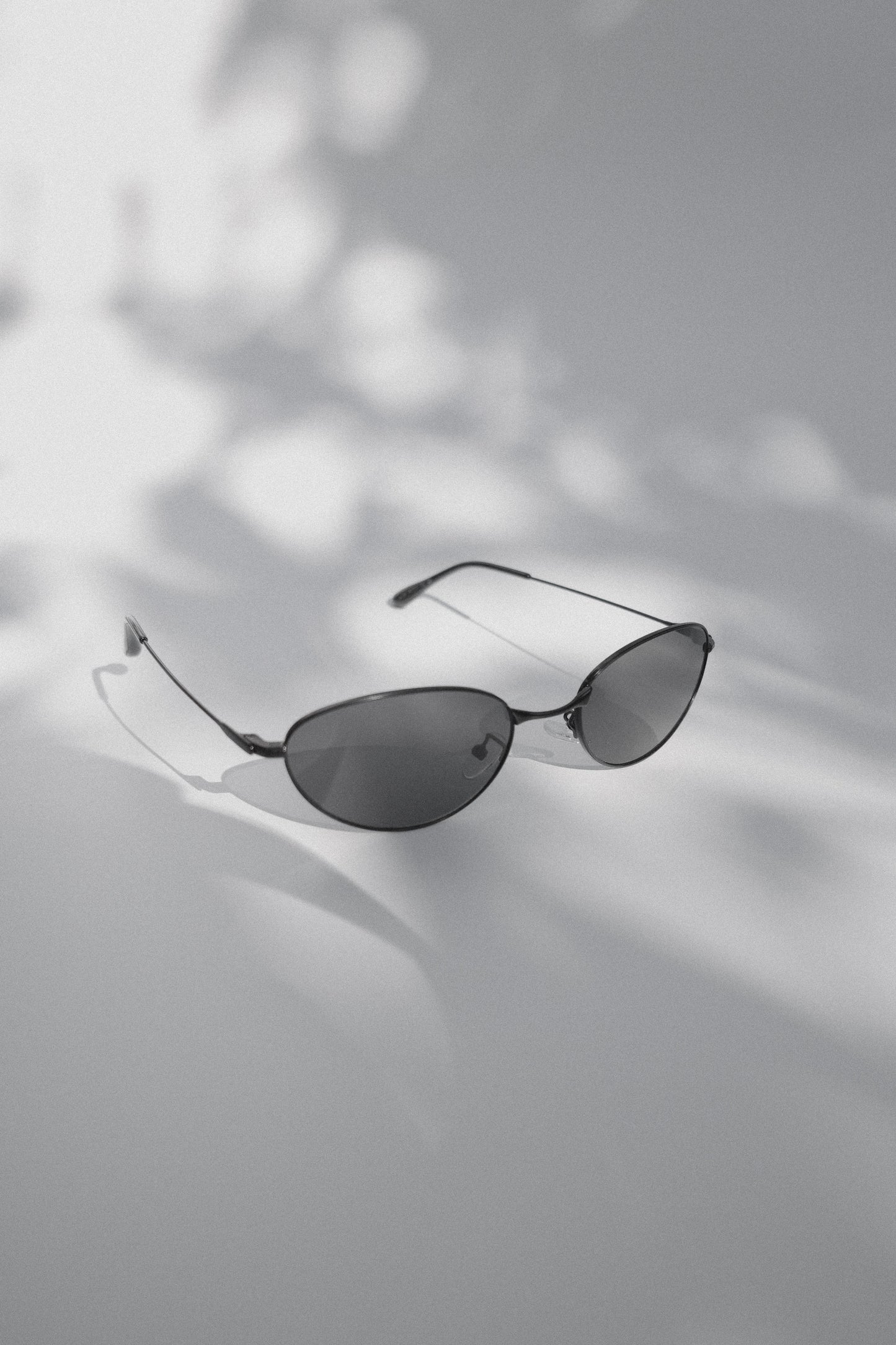 veil sunglasses