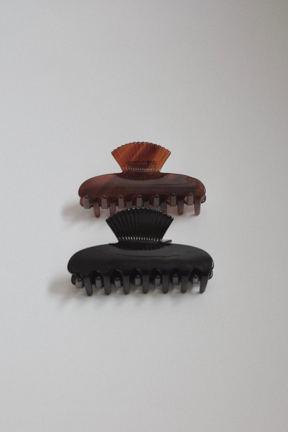coquille clip