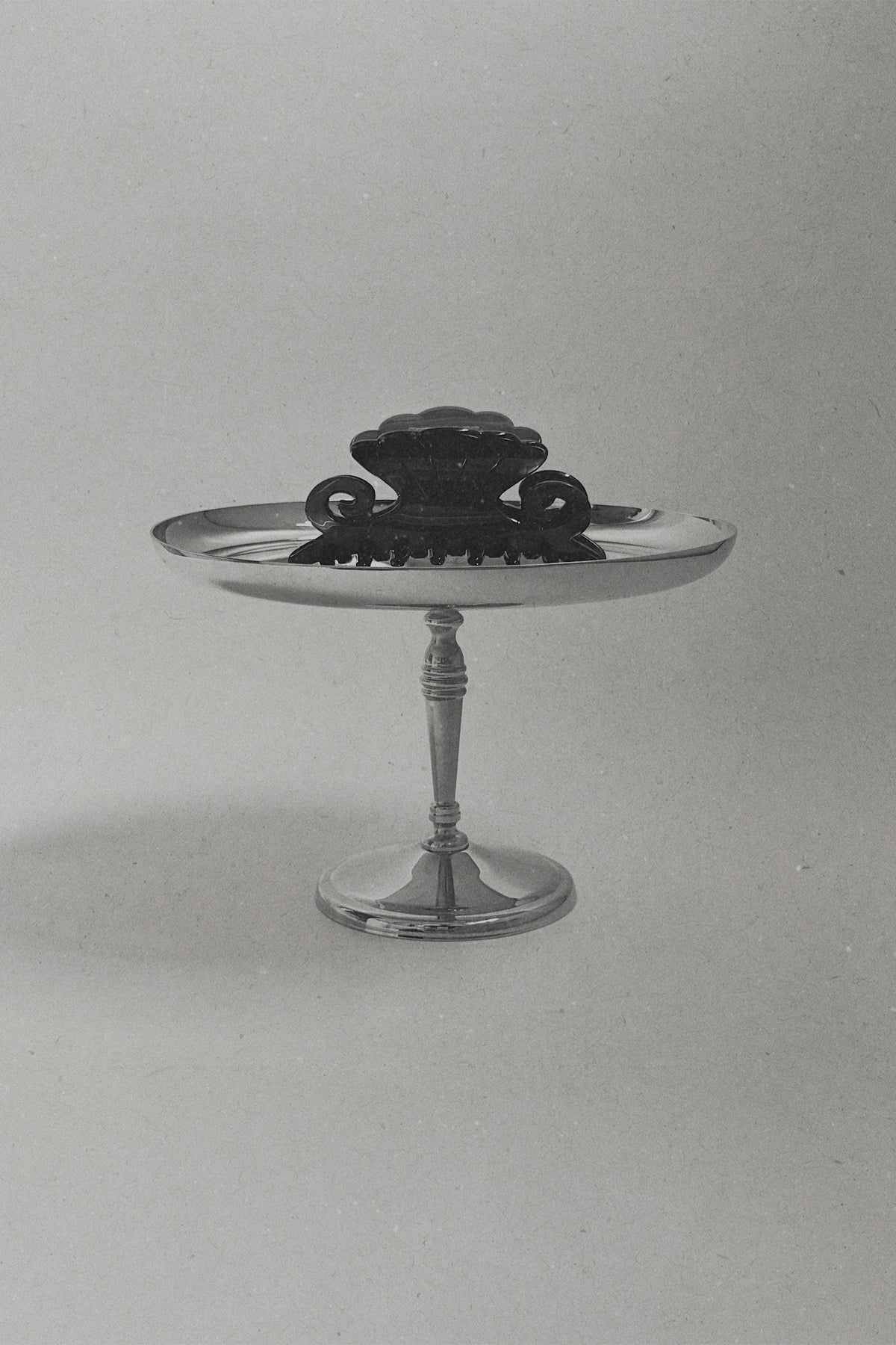 vintage shell clip