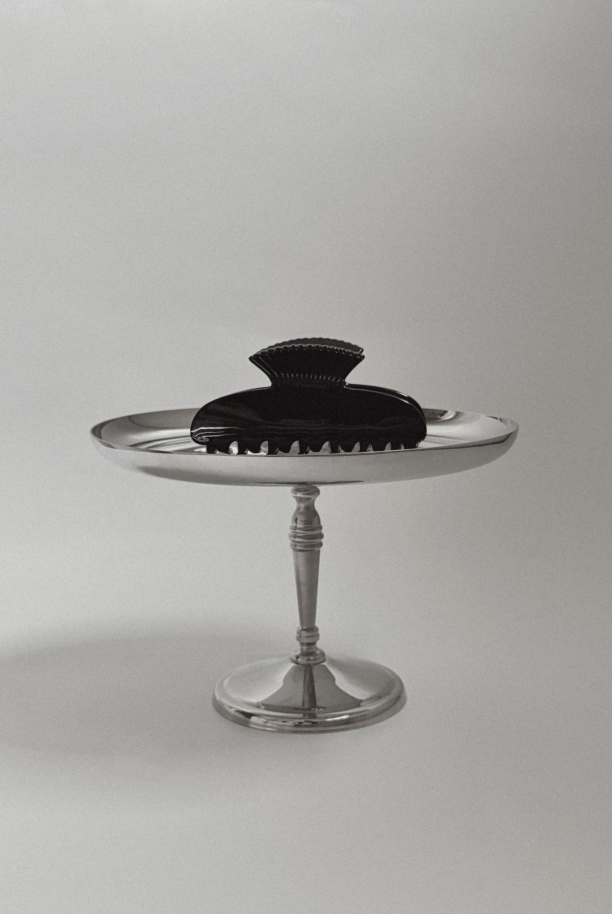 coquille clip