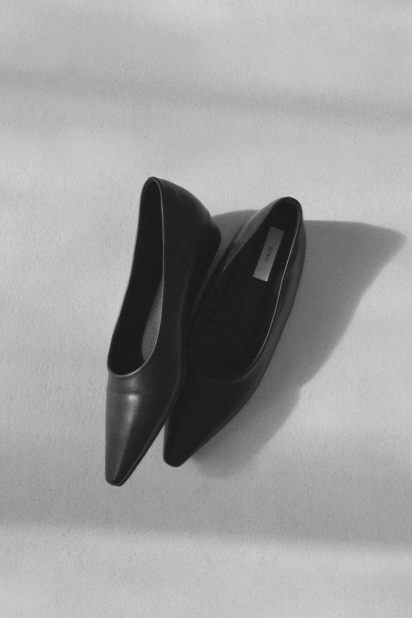 pointed toe flat ( matte )