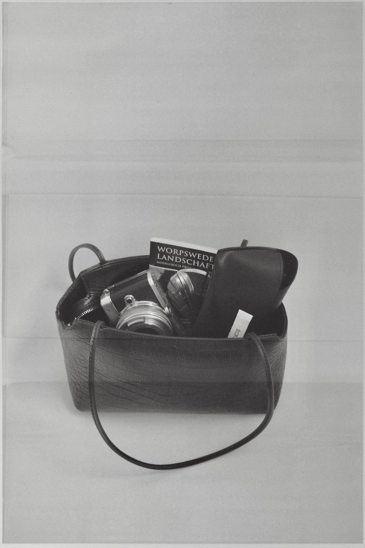 relief croco bag